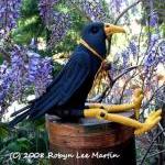 PDF Pattern Crow Primitive ..