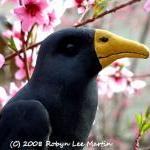 PDF Pattern Crow Primitive ..