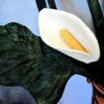Primitive ttern Cala Lily F..