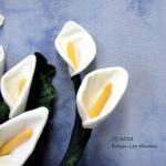 Primitive ttern Cala Lily F..