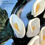 Primitive ttern Cala Lily F..